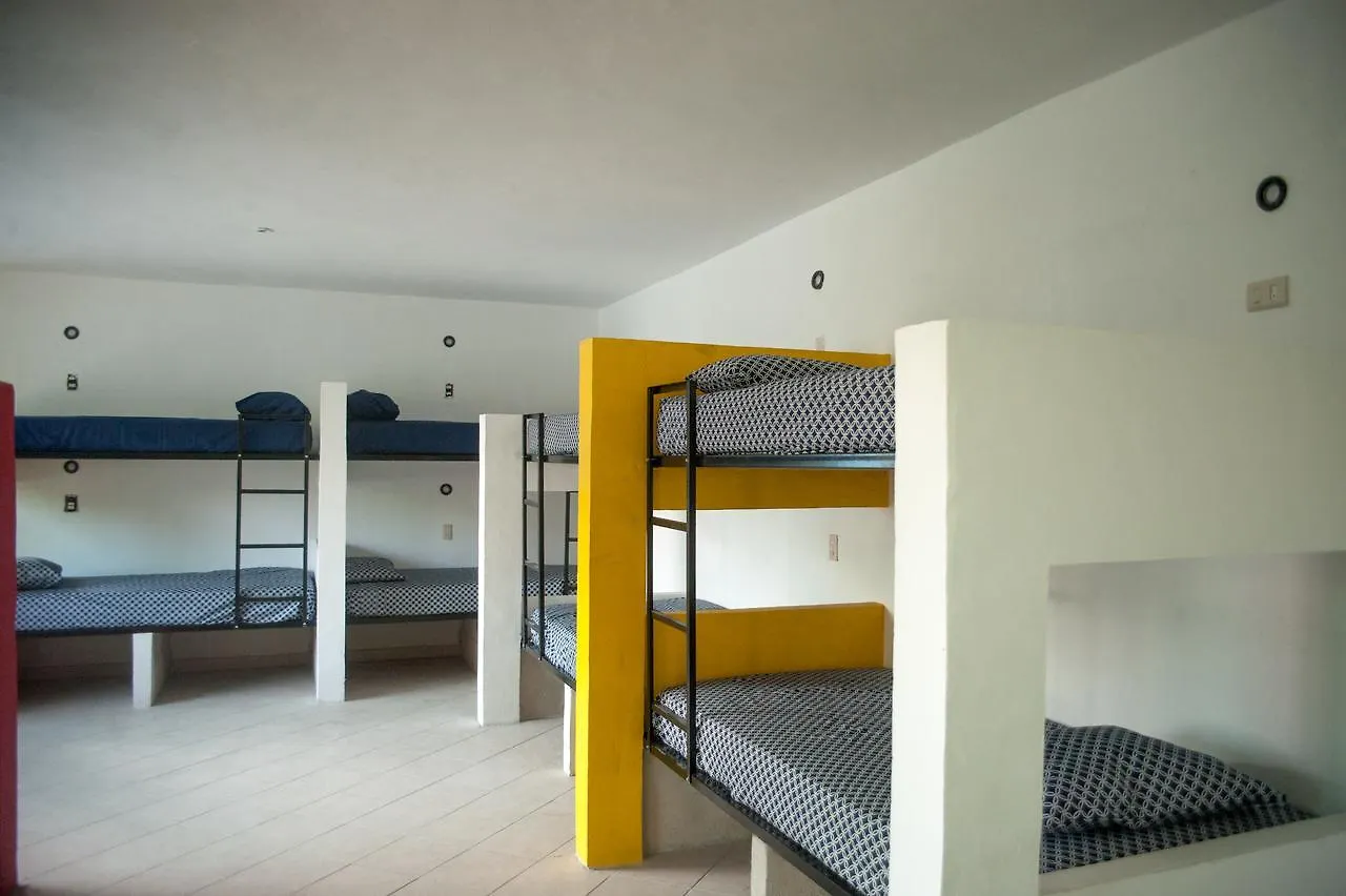Coco Hostel Cancún Gæstehus